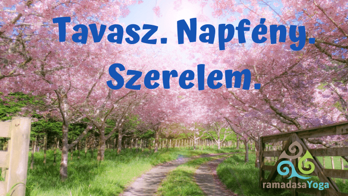Havi ájurvéda: Április – Tavaszi láz!